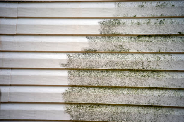 Shed Removal in Silverton, OR